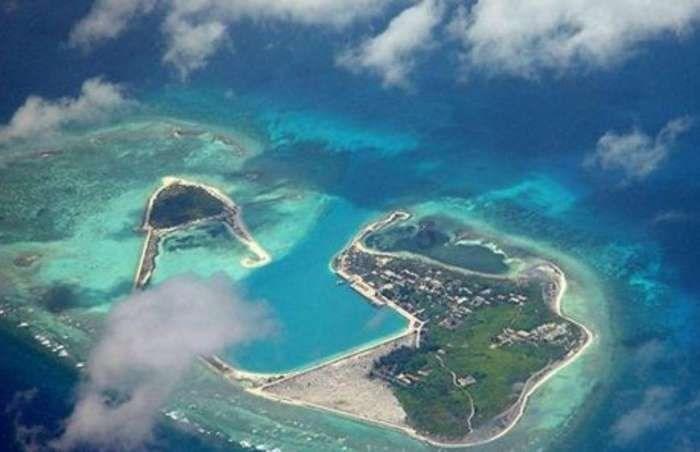 动物帮帮忙保卫家园