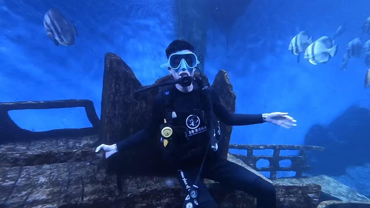 河北三月幼犬吓哭一岁男孩,被家长当面摔死,家长到底是护儿还是泄愤?-专业问答网站,解答你的疑惑
